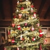 Load image into Gallery viewer, Funsmile 2 Pack Gold Christmas Ribbon Fairy Lights,100 LED 16ft Lights Fairy Strings Lights, Ribbon Bows Lights for Weddings New Year Christmas Tree Decorations