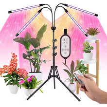 Load image into Gallery viewer, LED Grow Lights for Indoor Plants Full Spectrum Plant Light with 4-Head LED Grow Light, 15-60 in Adjustable Tripod Stand, Red Blue with Remote Control