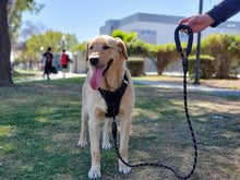 Load image into Gallery viewer, Rope Dog Leash 6FT with Comfortable Padded Handle, Highly Reflective Threads Strong Dog Leash for Puppies Small Medium and Large Dogs