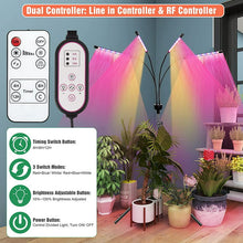 Load image into Gallery viewer, LED Grow Lights for Indoor Plants Full Spectrum Plant Light with 4-Head LED Grow Light, 15-60 in Adjustable Tripod Stand, Red Blue with Remote Control