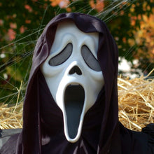 Load image into Gallery viewer, COWIN Halloween Mask Halloween Ghost Head Face Mask Novelty Scary Skull Full Head Masque for Masquerade Party Carnival Fancy Cosplay Party Halloween Decoration
