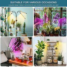 Load image into Gallery viewer, LED Grow Lights for Indoor Plants Full Spectrum Plant Light with 4-Head LED Grow Light, 15-60 in Adjustable Tripod Stand, Red Blue with Remote Control
